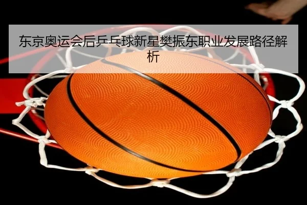 东京奥运会后乒乓球新星樊振东职业发展路径解析